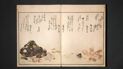 Illustrated book
