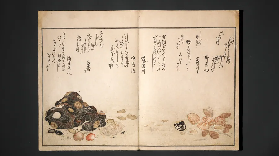 Illustrated book by Kitagawa Utamaro
