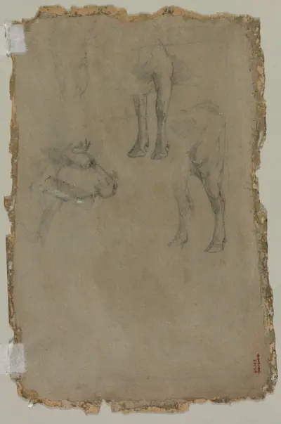 Studies of a Bull (verso)