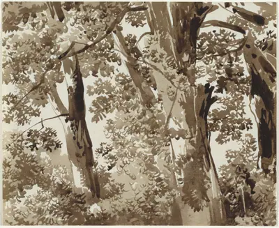 Trees with Dense Undergrowth