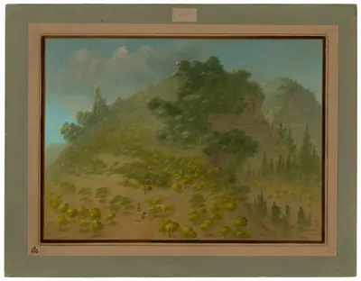 Rhododendron Mountain