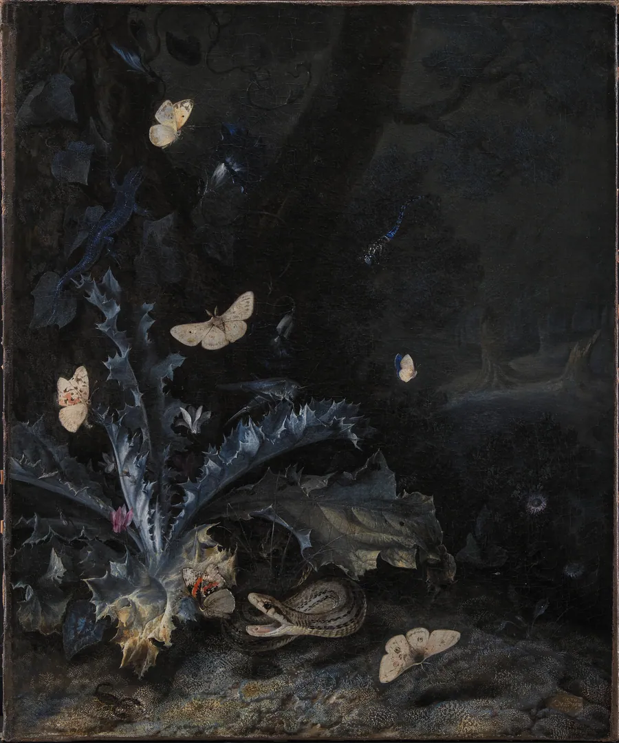 Stilleben med tidsel og slange by Otto Marseus van Schrieck