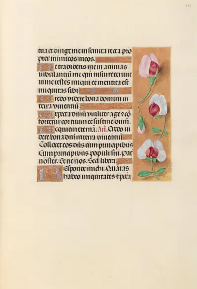 Hours of Queen Isabella the Catholic, Queen of Spain: Fol. 237r
