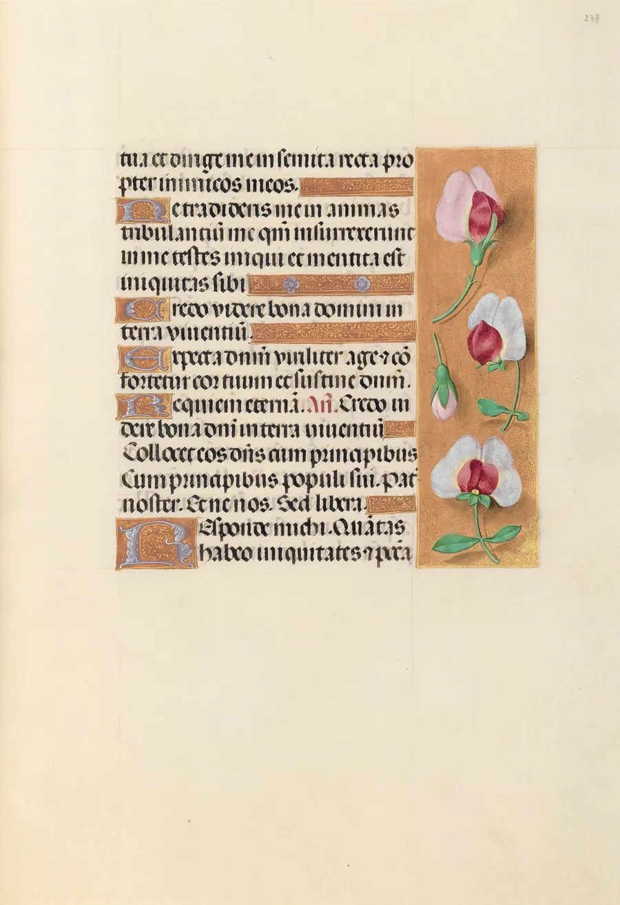 Hours of Queen Isabella the Catholic, Queen of Spain:  Fol. 237r by Master of the First Prayerbook of Maximillian