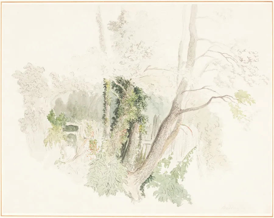 Trees at Beddington by Robert Hills