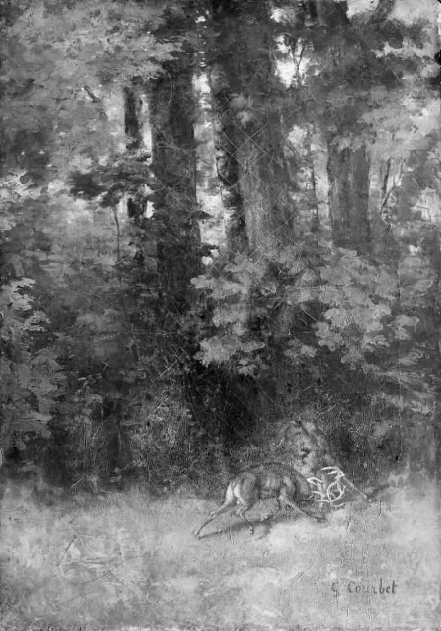 Kæmpende hjorte i en skov by Gustave Courbet