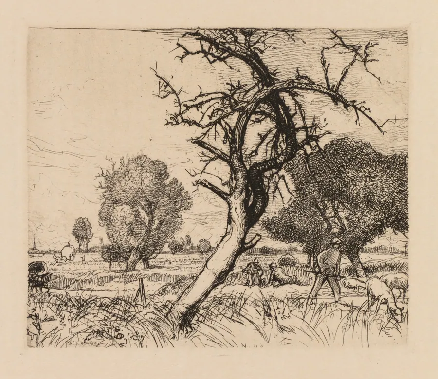 Auguste Lepère: Le pommier mort (Picardie) by Auguste Louis Lepère