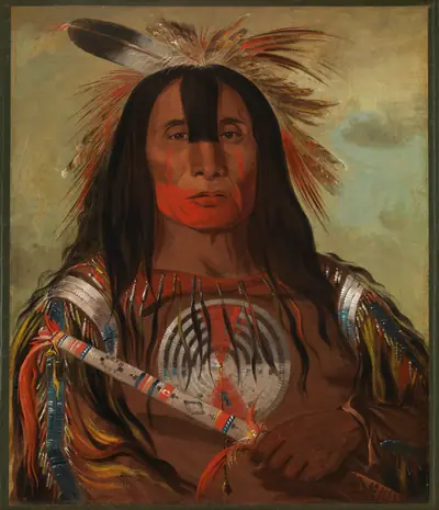 Stu-mick-o-súcks, Buffalo Bull's Back Fat, Head Chief, Blood Tribe
