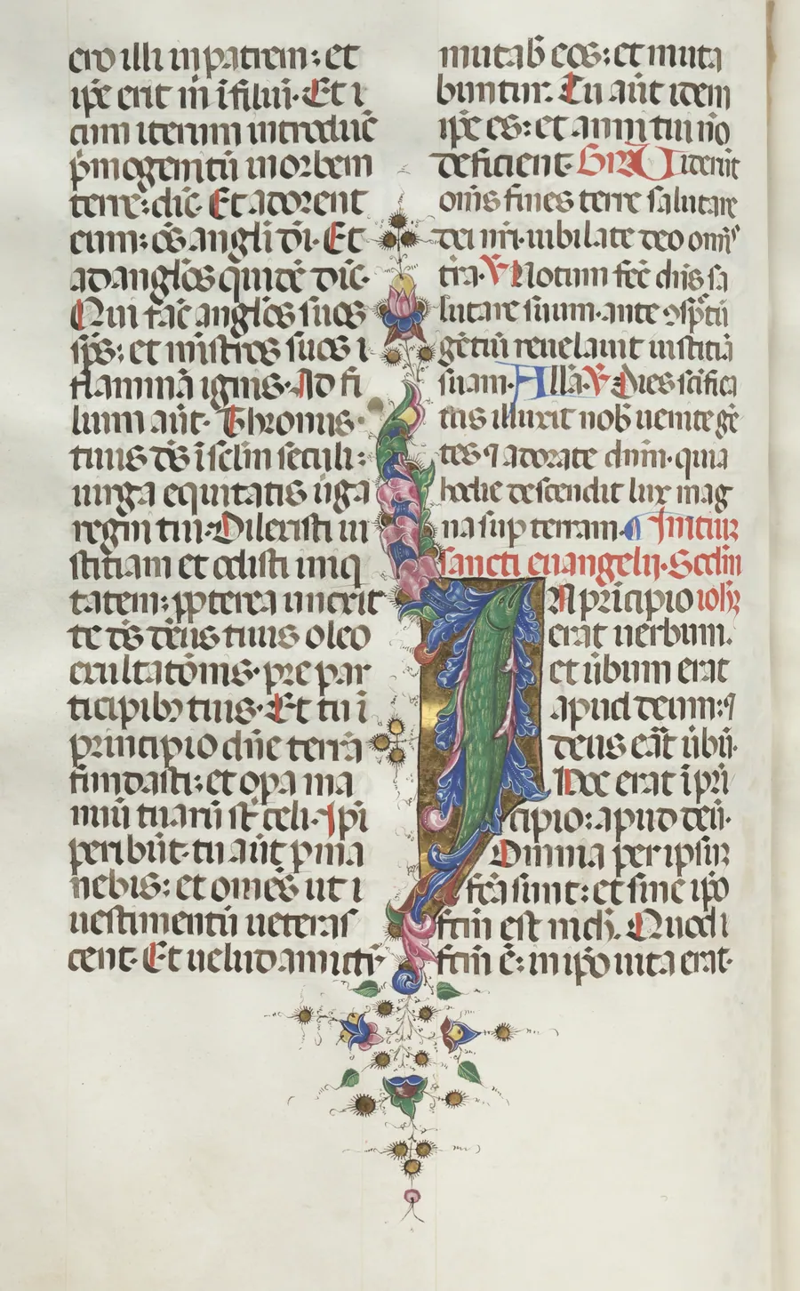 Missale: Fol. 22v: Foliage with Fish by Giapeco Caporali