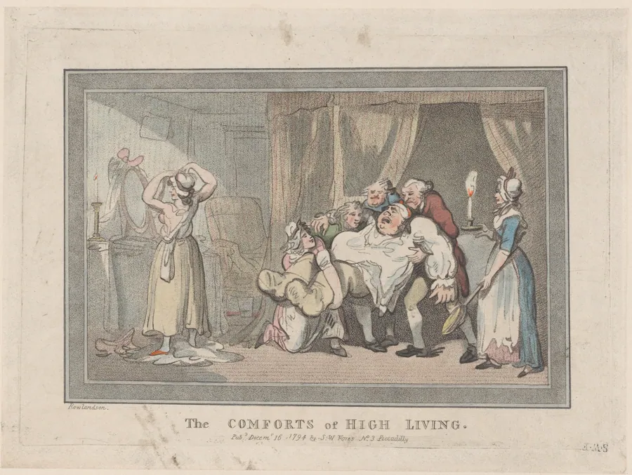 The Comforts of High Living by S. W. Fores