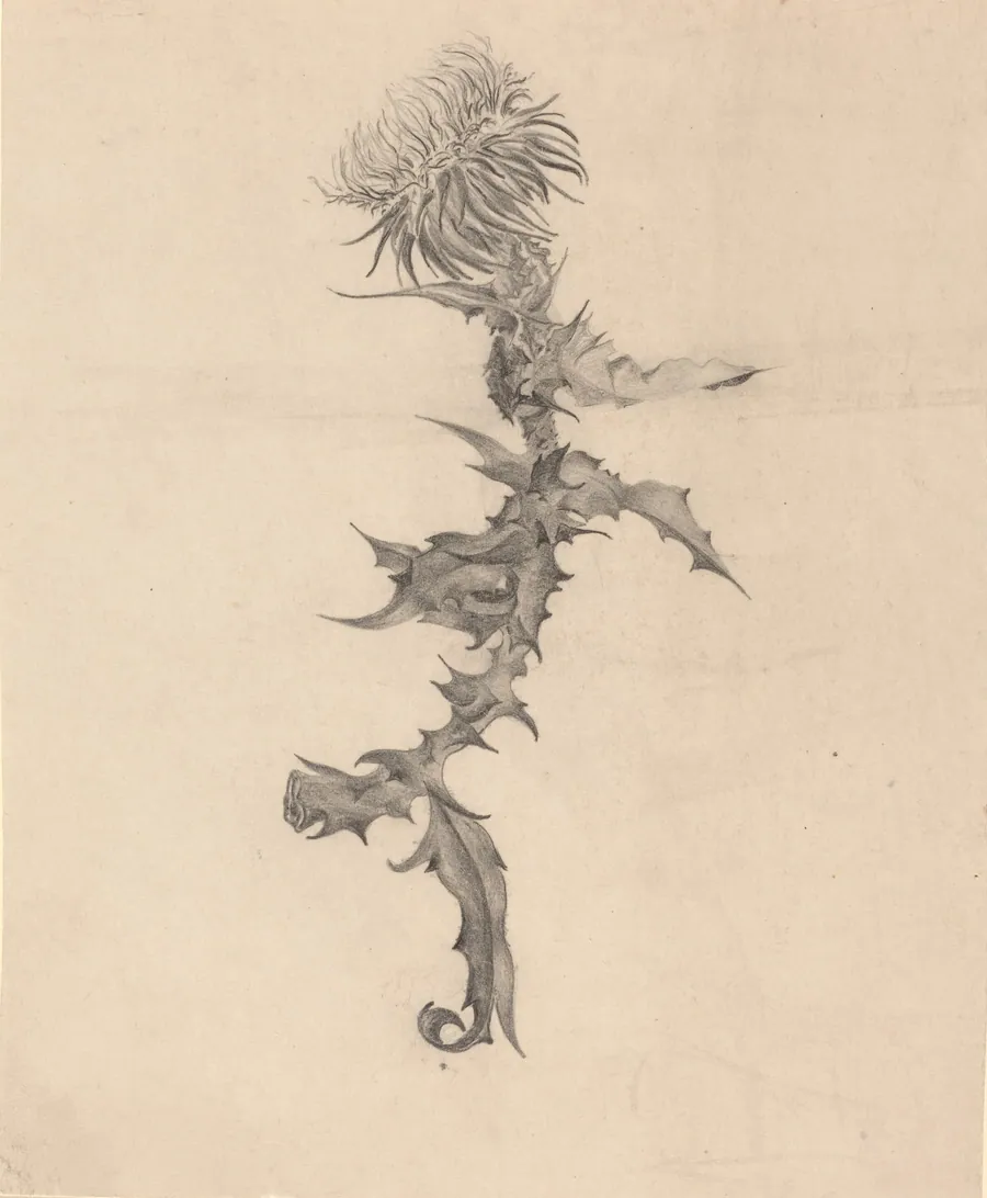 Thistle by Karel Vitezslav Masek