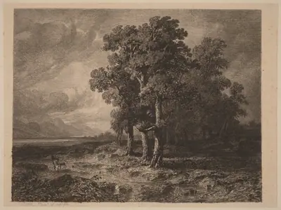Trees in a Storm