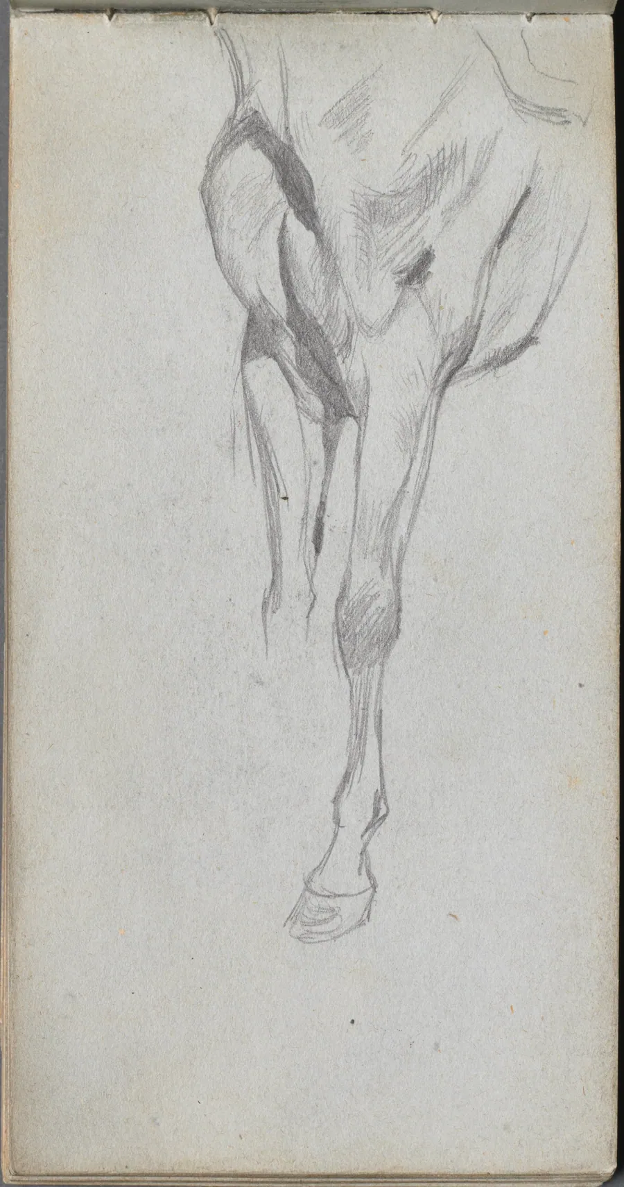 Sketchbook, page 48: Study of A Horse by Ernest Meissonier