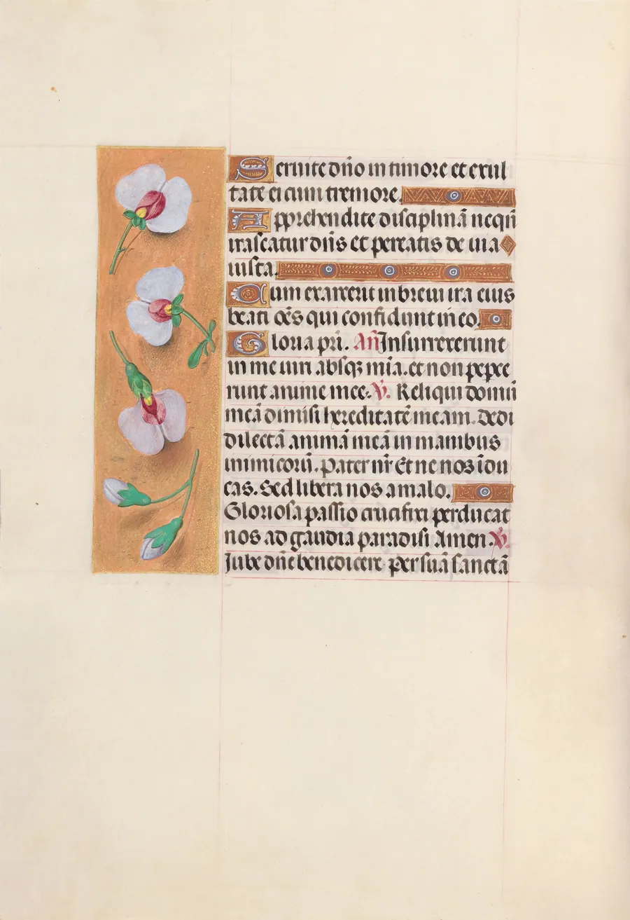 Hours of Queen Isabella the Catholic, Queen of Spain:  Fol. 53v by Master of the First Prayerbook of Maximillian