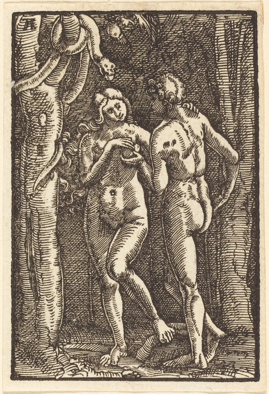 The Fall of Man by Albrecht Altdorfer