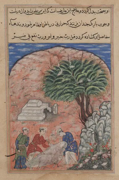 The suitors take the devotee’s daughter out of her tomb after breaking it open, when the physician discovers she is still alive, from a Tuti-nama (Tales of a Parrot): Twentieth Night