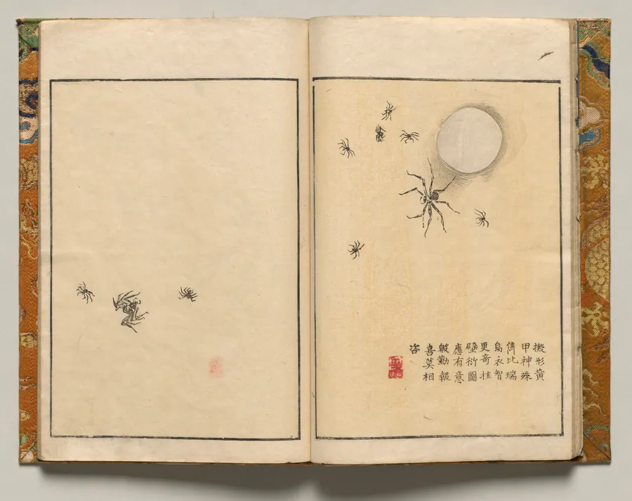Spiders with Commentary, Design Eight from Shazanrō Picture Book by Tani Bunchō