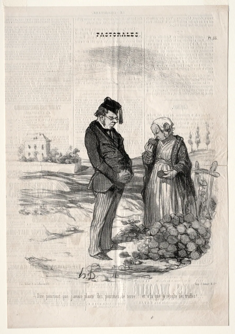 How strange.... I had planted potatoes, and here I am harvesting truffles! by Honoré Daumier