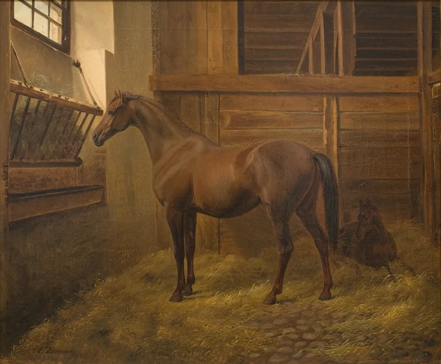 Sabina by Fritz Thomsen