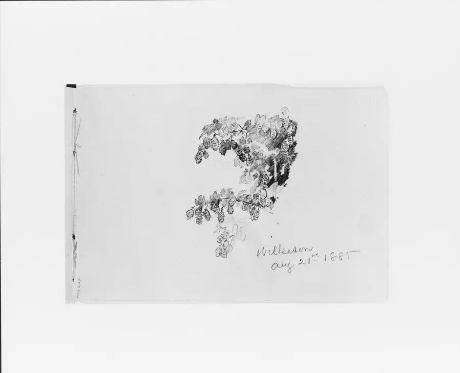 Wilkeson Aug 21st 1885: Nature Study (from Sketchbook X) by William Trost Richards