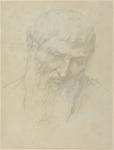 Head of a Man with Curly Hair and Beard