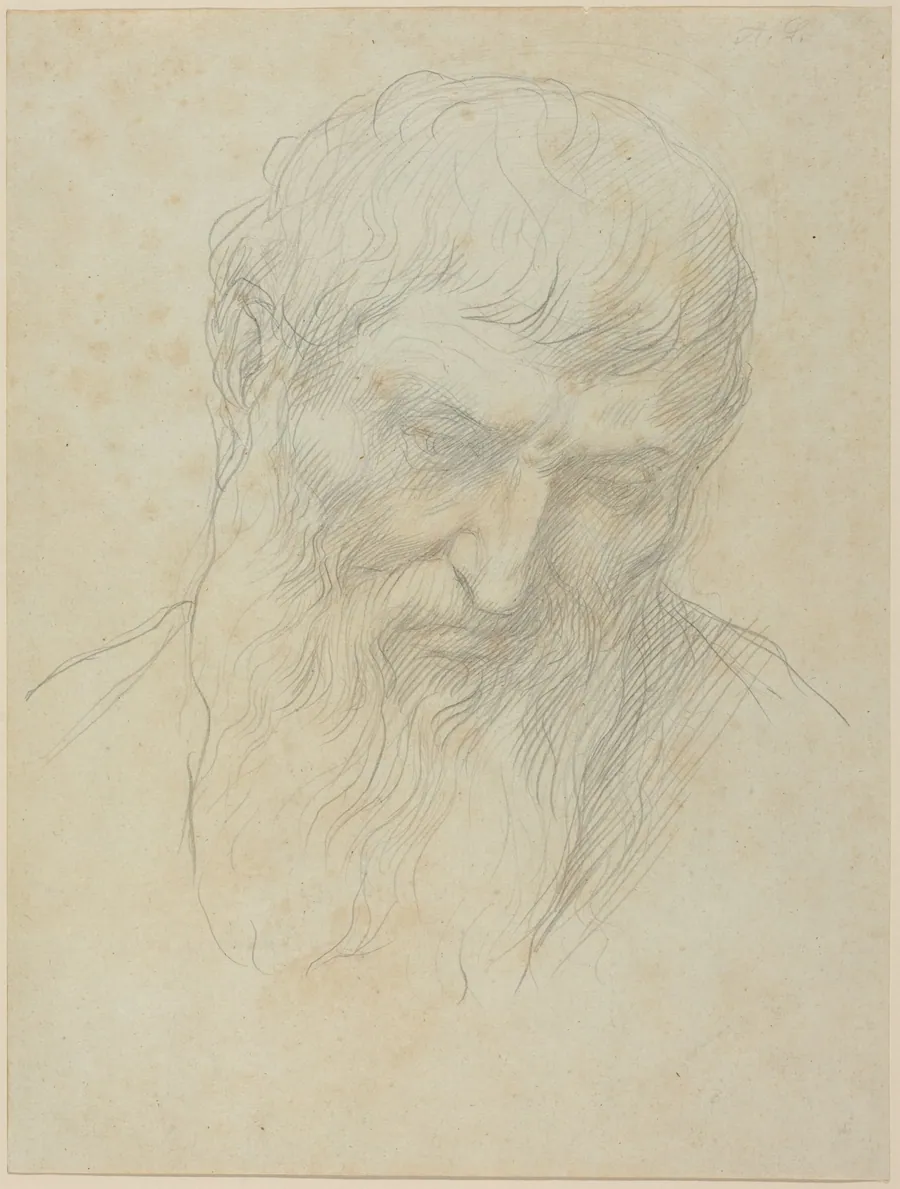 Head of a Man with Curly Hair and Beard by Alphonse Legros