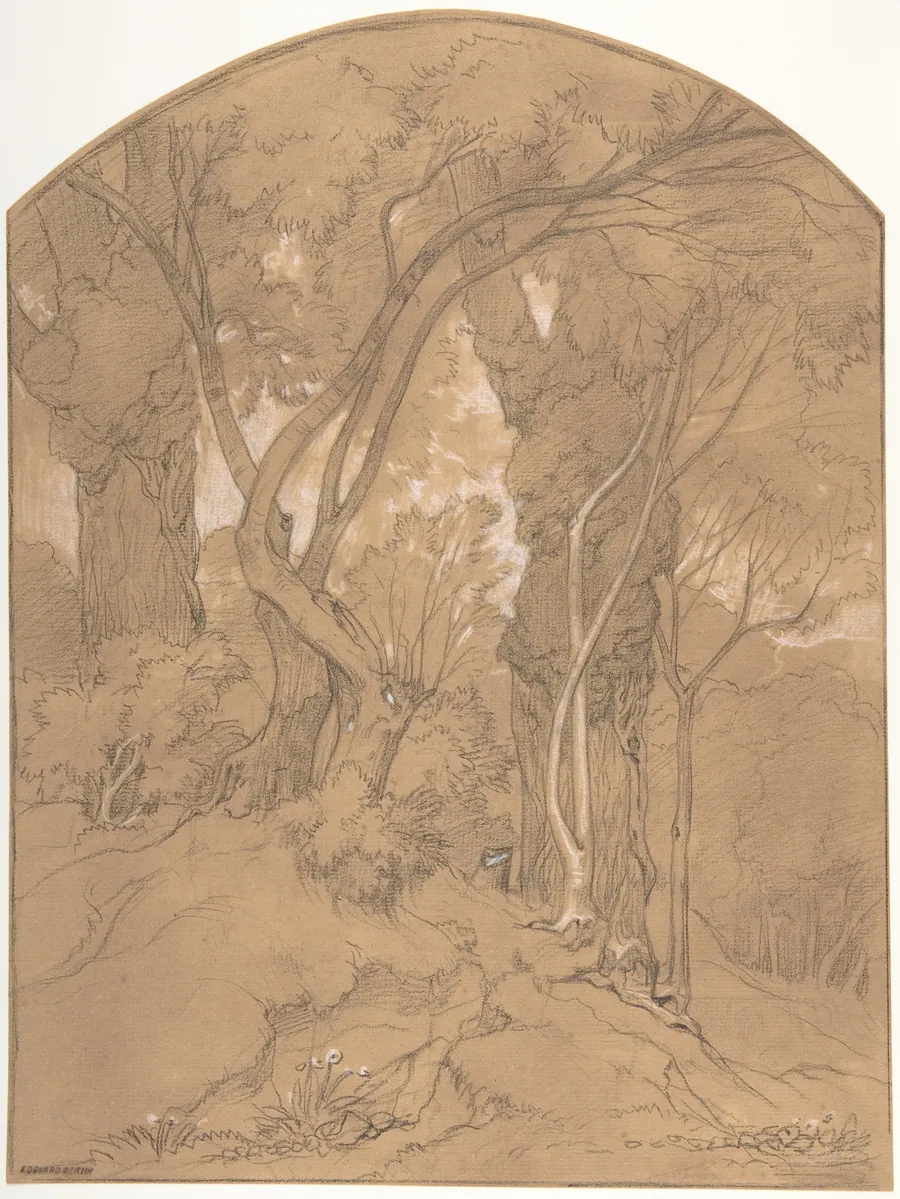 Trees in a Forest by Edouard Bertin