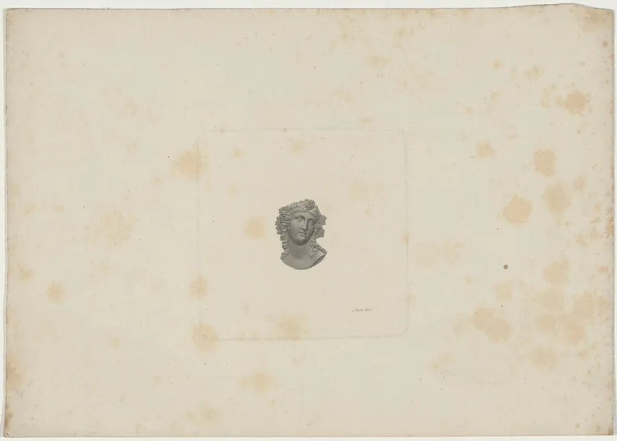 Medallion of Woman's Head: Flora by Unknown 19th Century