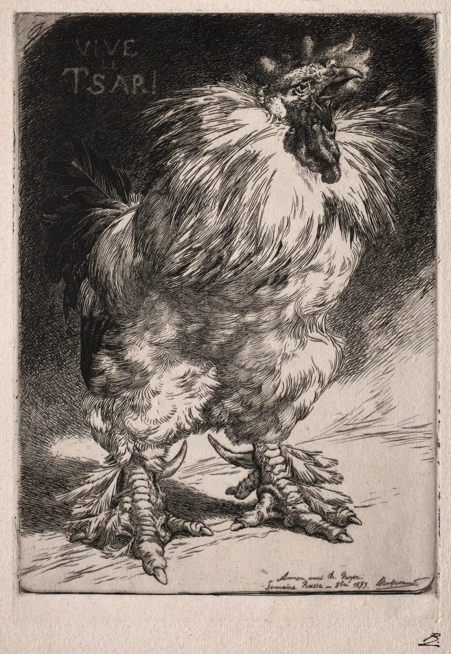 The French Cock by Félix Bracquemond