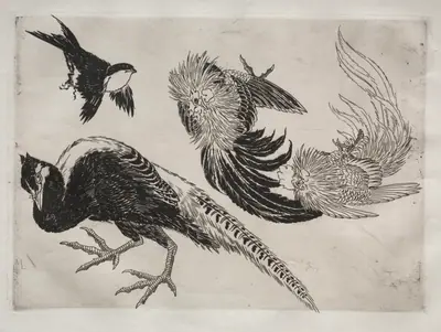Dinner Service (Rousseau service): Pheasants and bird (no. 18)