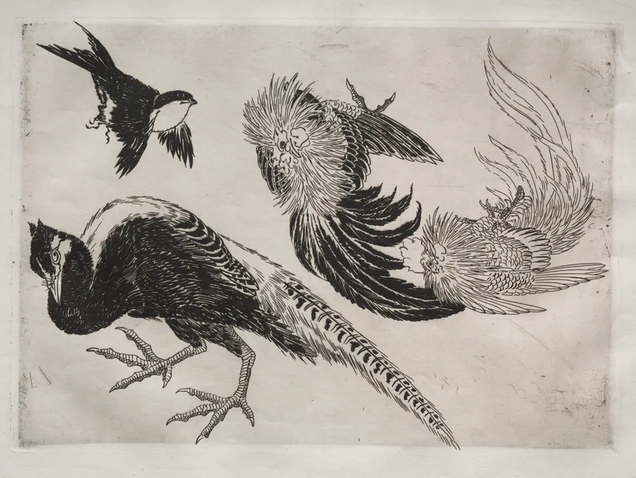 Dinner Service (Rousseau service): Pheasants and bird (no. 18) by Félix Bracquemond