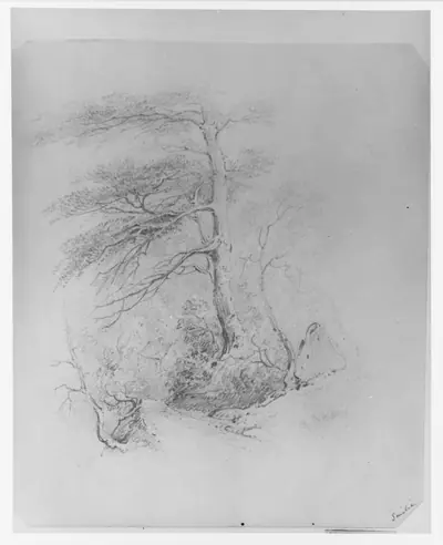 Landscape (from McGuire Scrapbook)