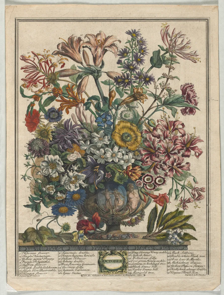 Twelve Months of Flowers:  October by Henry Fletcher