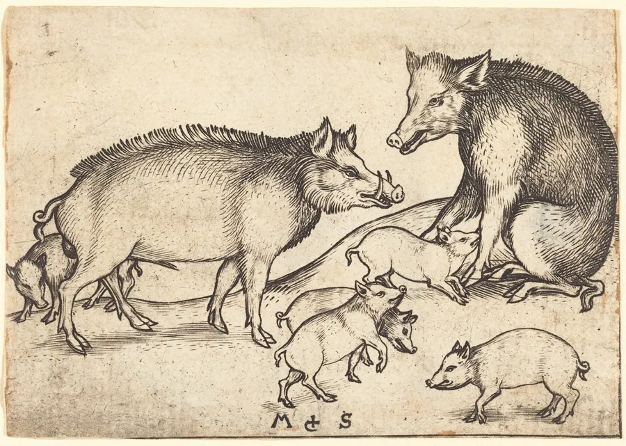 Family of Pigs by Martin Schongauer