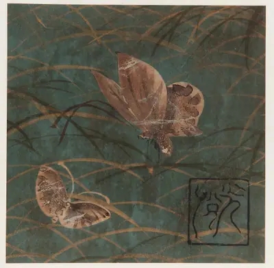 Butterflies and grasses