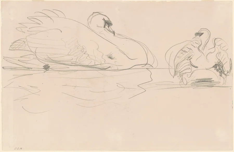 Swans in the Water by John Singer Sargent