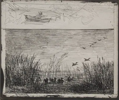 Swamp with Ducks
