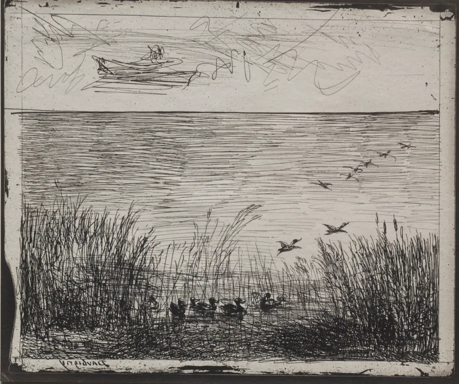 Swamp with Ducks by Charles François Daubigny
