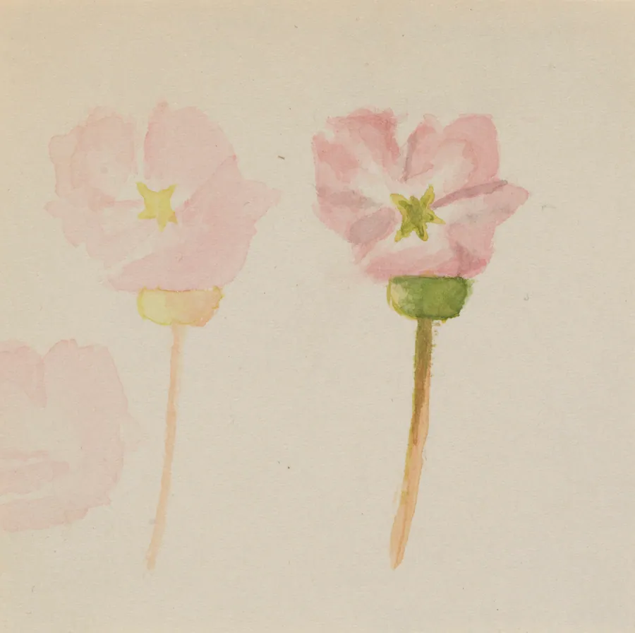 "My First Painting" by Mary Vaux Walcott, born Philadelphia, PA 1860-died St. Andrews, New Brunswick, Canada 1940
