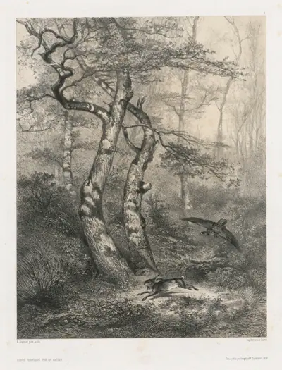 Hare Pursued by a Goshawk