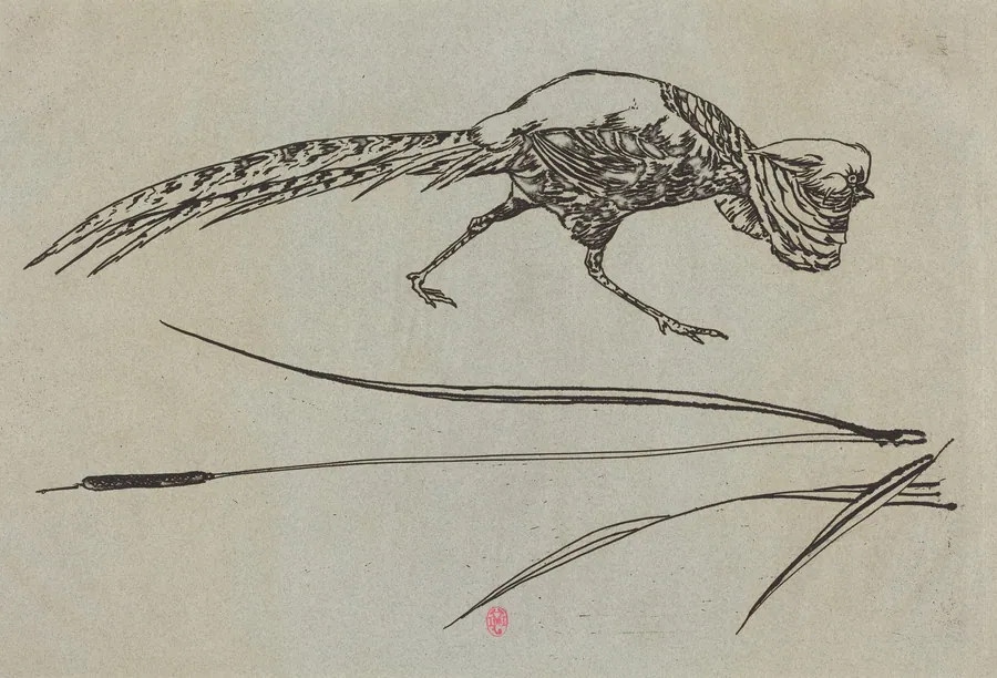 Pheasant and Cattail (Faisan et roseau) by Félix Bracquemond