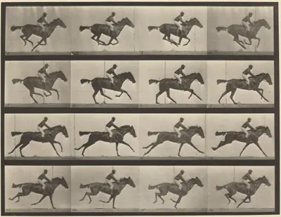 Plate Number 626. Gallop, thoroughbred bay mare, Annie G.
