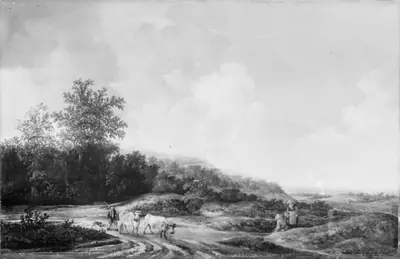 Bakket landskab