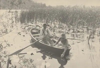 Gathering Water-Lilies