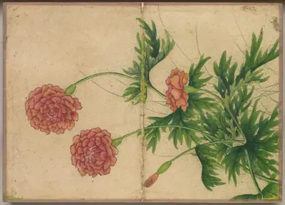 Desk Album: Flower and Bird Paintings (Peony)