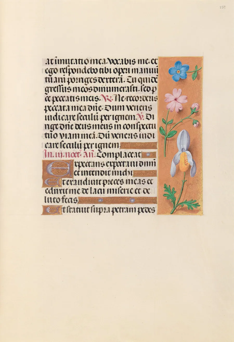Hours of Queen Isabella the Catholic, Queen of Spain:  Fol. 239r by Master of the First Prayerbook of Maximillian
