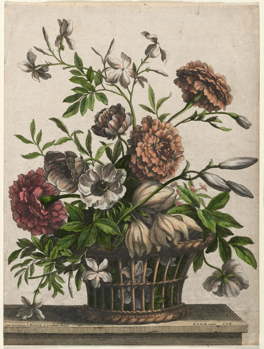 Marigolds, single Anemone, Jasmine. . . . by Jean-Baptiste I Monnoyer