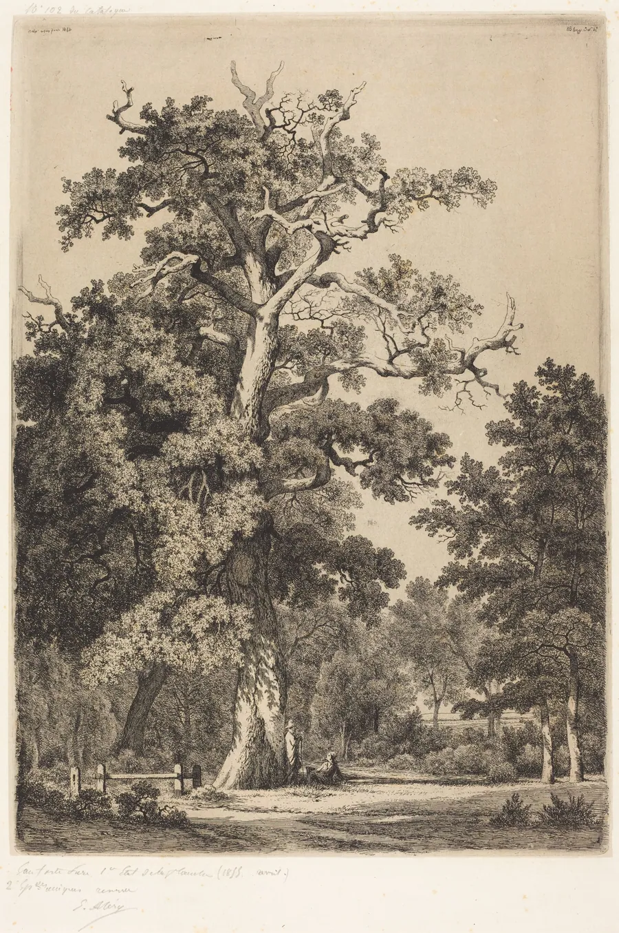 Ancient Oak in the Bois de Boulougne by Eugène Bléry
