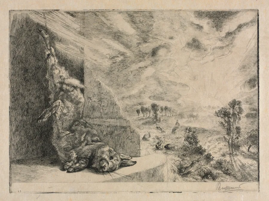 The Wild Rabbit by Félix Bracquemond