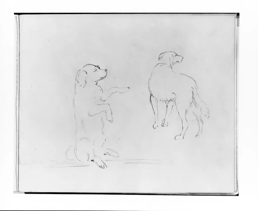 Two Studies of a Dog (from Sketchbook) by Francis William Edmonds